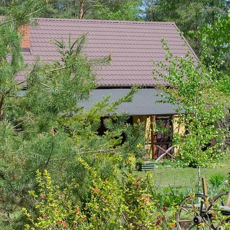Gospodarstwo Agroturystyczne Nad Jeziorem Wsrod Lasow Lipnica  Buitenkant foto