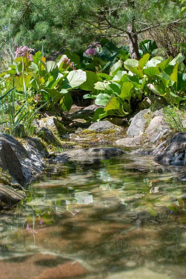 Gospodarstwo Agroturystyczne Nad Jeziorem Wsrod Lasow Lipnica  Buitenkant foto